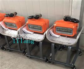 河南省5噸耐*溫電子吊稱(chēng)批發(fā)