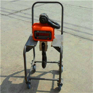 衡陽(yáng)10噸直視電子吊秤