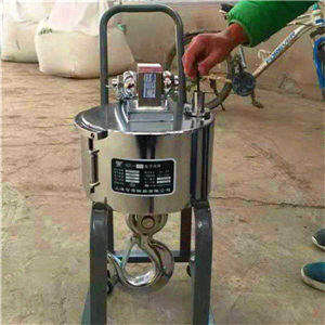 贛州3噸無(wú)線(xiàn)打印電子吊磅