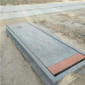 衡陽(yáng)雙軸固定式軸重秤