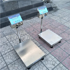 河北保定防爆電子稱(chēng)