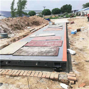 大連二百?lài)嵉厣虾? width=