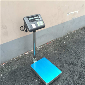 廣西帶U盤(pán)輸出電子秤