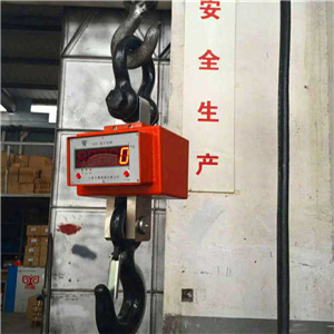 淄博3噸電子吊磅廠(chǎng)家