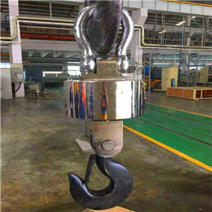 昆明30噸電子吊鉤秤價(jià)格