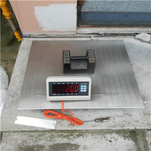 長(cháng)沙304不銹鋼電子地磅供應