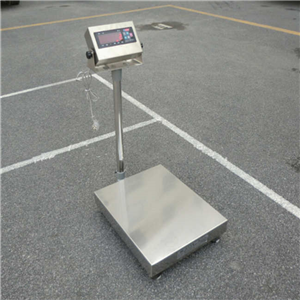 長(cháng)沙300公斤電子秤