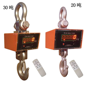 上海頓科30噸直視電子吊稱(chēng)價(jià)格表