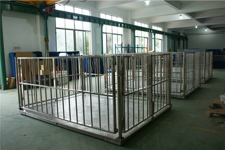 滄州2000斤電子豬稱(chēng)