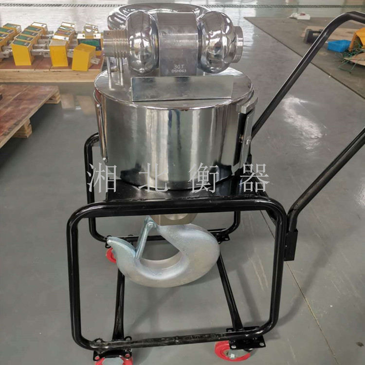 余姚30噸電子行車(chē)吊鉤秤