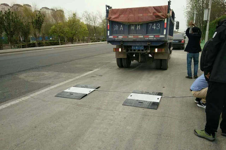 便攜式汽車(chē)衡